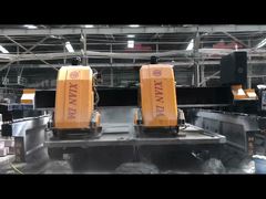 বিএলএমএম -1800-2 ডি